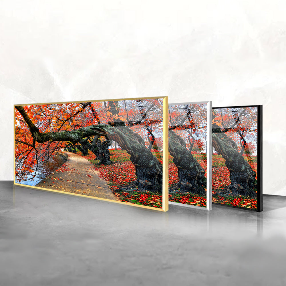 Westonbirt Arboretum Autumn Vibe: Glass Wall Art