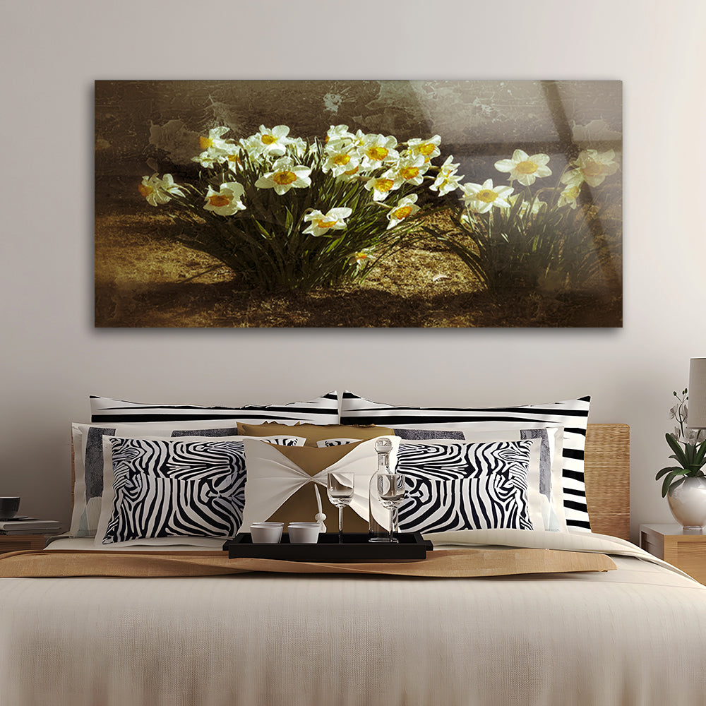 Portrait of a spring narcissus flowers