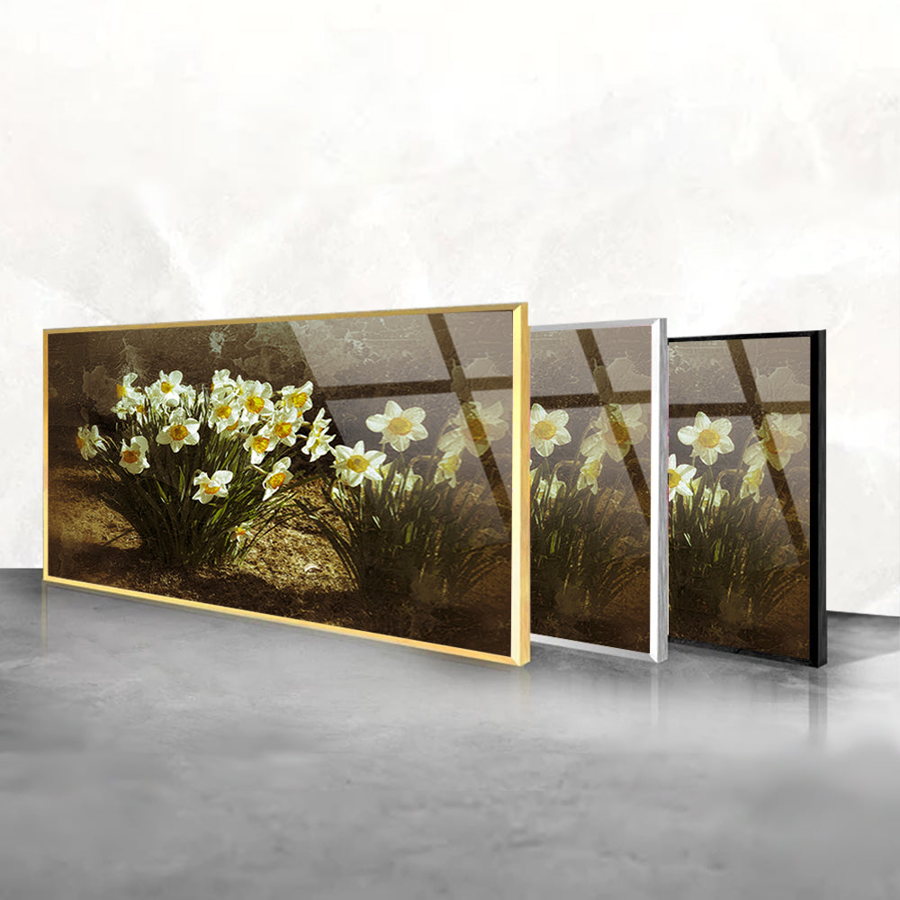 Portrait of a spring narcissus flowers