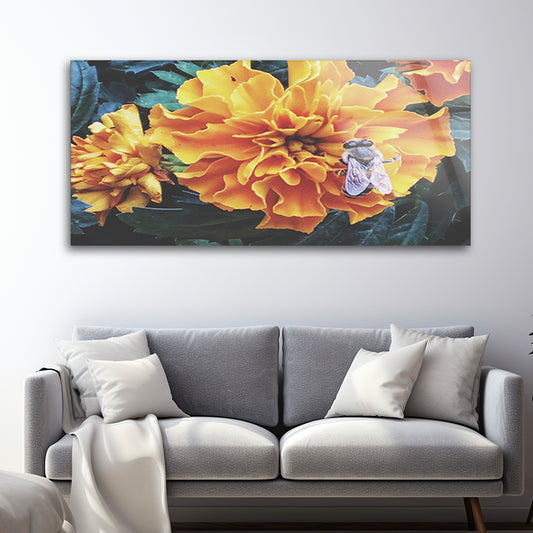 Portrait of a pretty bee on French marigold flower