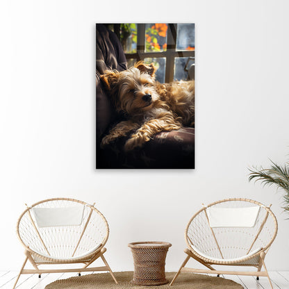 Puppy Slumber: Cute Puppy Sleeping on Glass Sofa