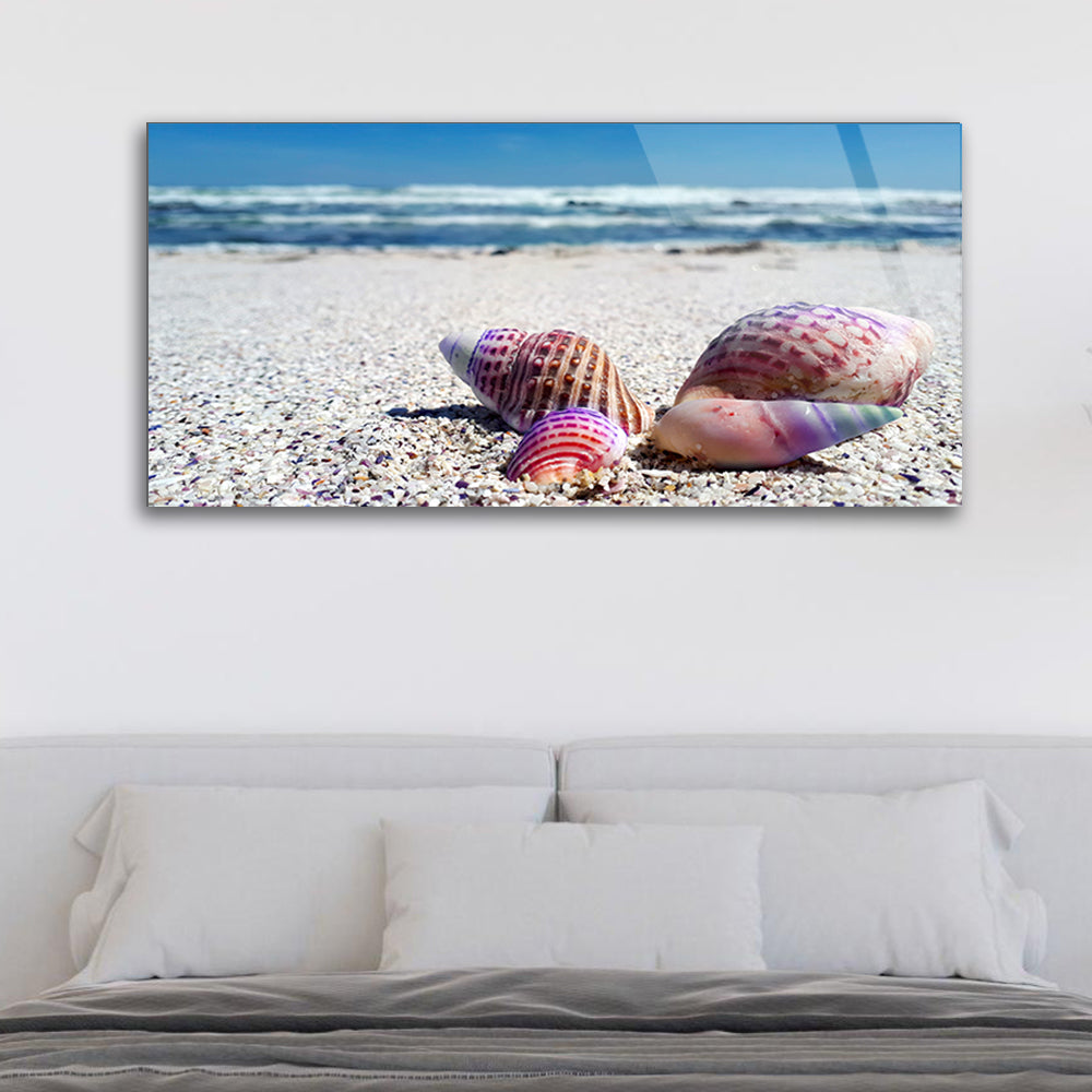 Seashell and the Sea: Beachside Beauty Captured in a Glass Frame