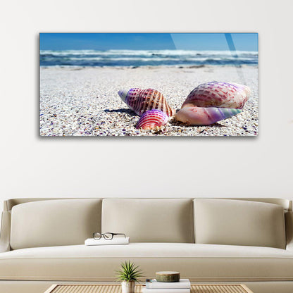 Seashell and the Sea: Beachside Beauty Captured in a Glass Frame