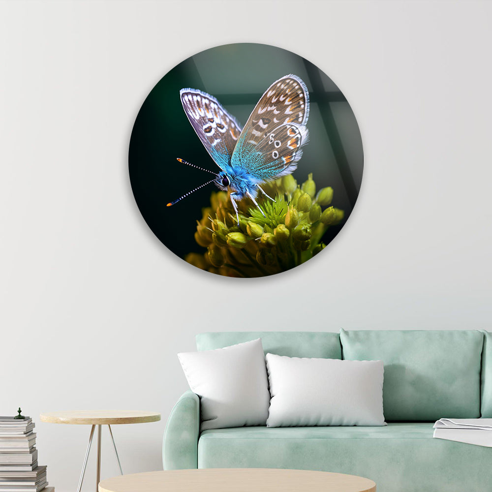 Delicate Butterfly Rest Glass Wall Art