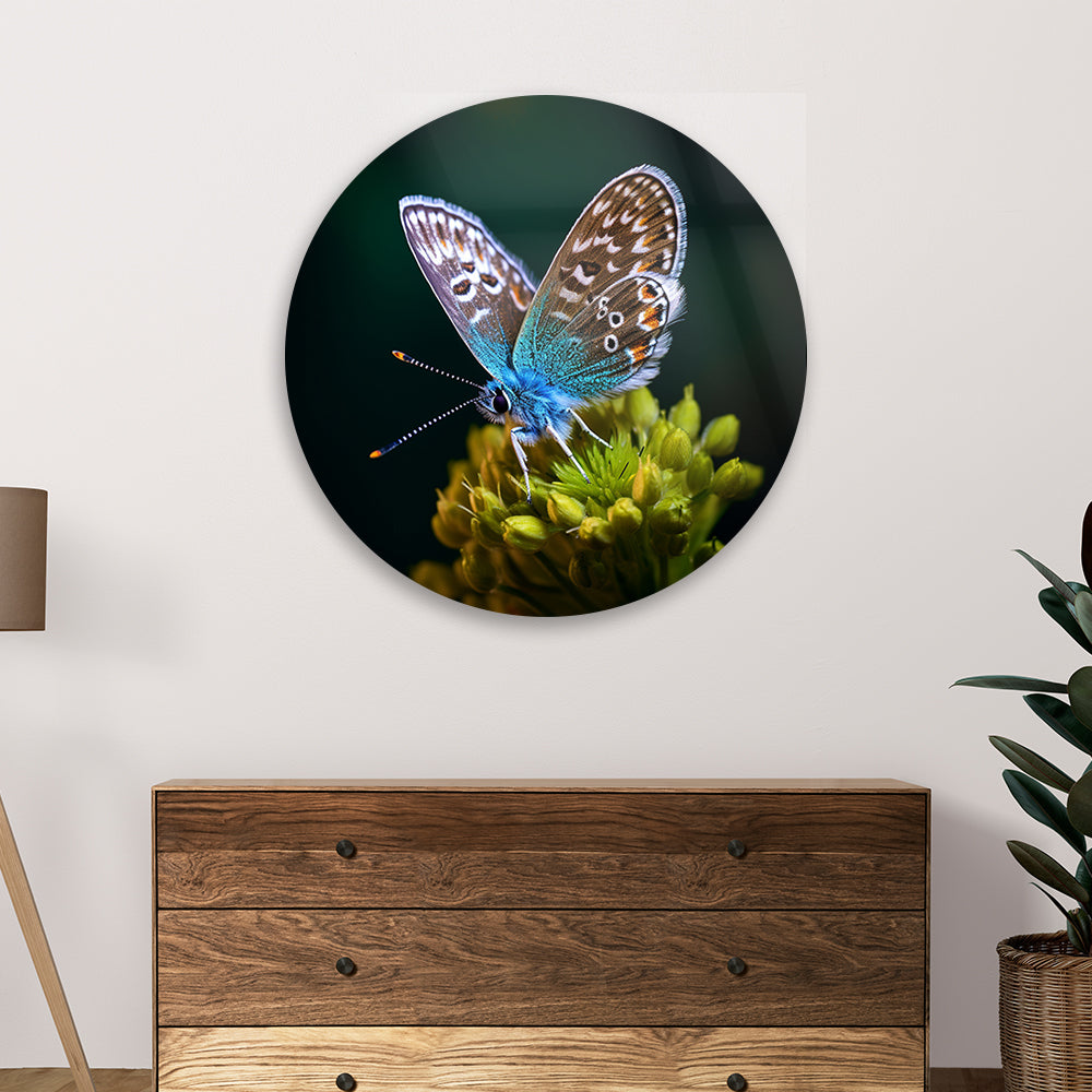 Delicate Butterfly Rest Glass Wall Art