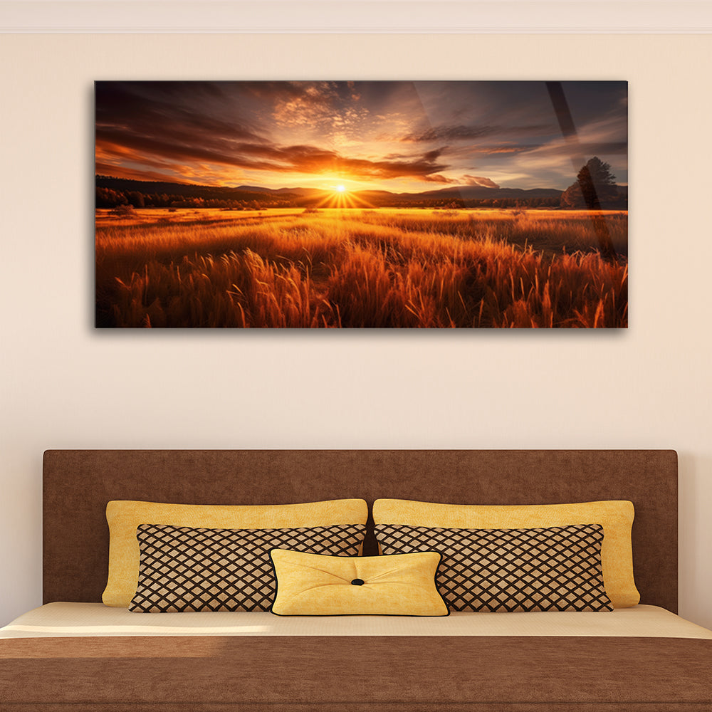 Sunset Fields: Grass Field with Sunset on Tempered Glass