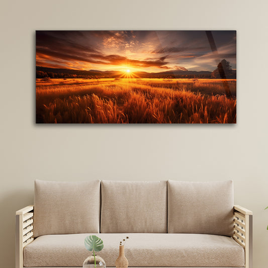 Sunset Fields: Grass Field with Sunset on Tempered Glass