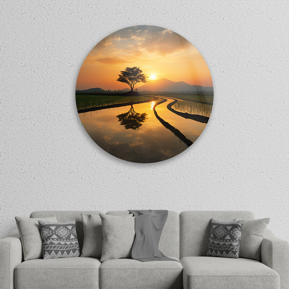 Golden Rice Fields Sunset Tempered Glass Piece