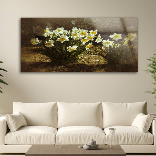 Portrait of a spring narcissus flowers