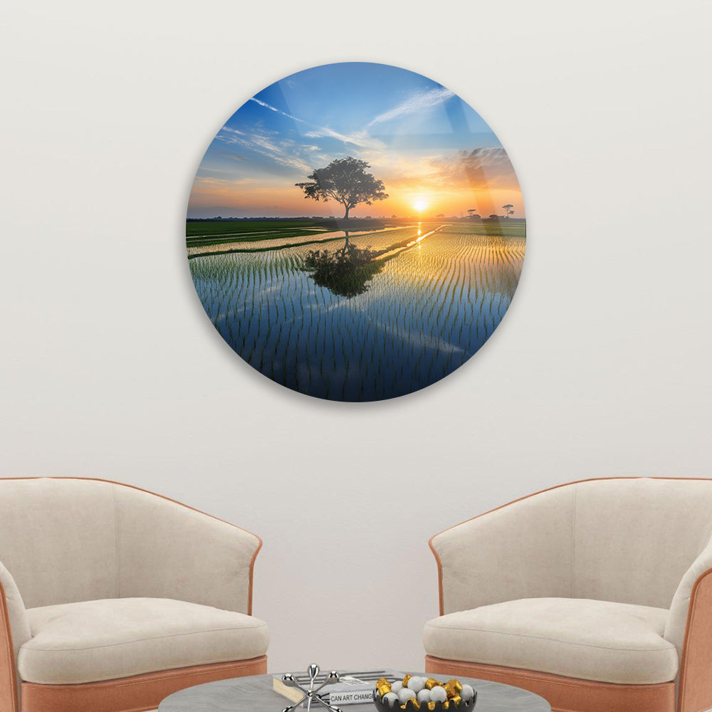 Dawn Over Rice Fields Tempered Glass Art